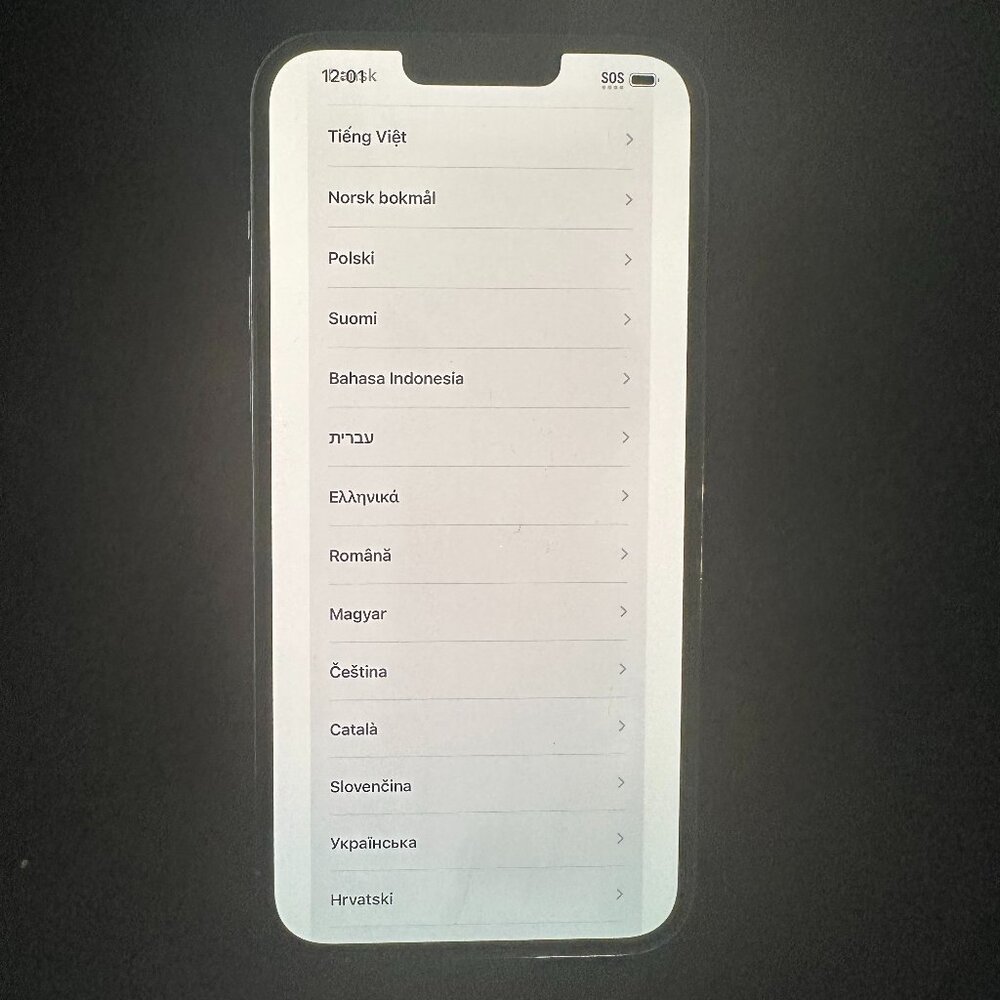 Apple iPhone 13 Pro Max - 128 GB - Silver (Unlocked)